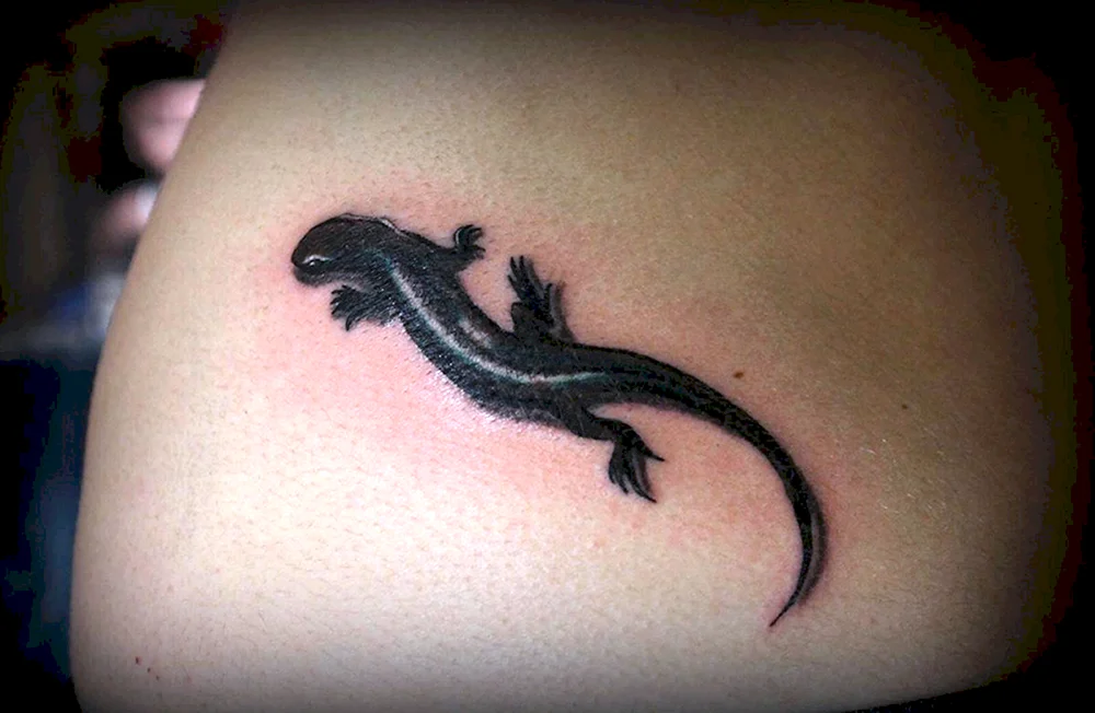 Salamander Tattoo