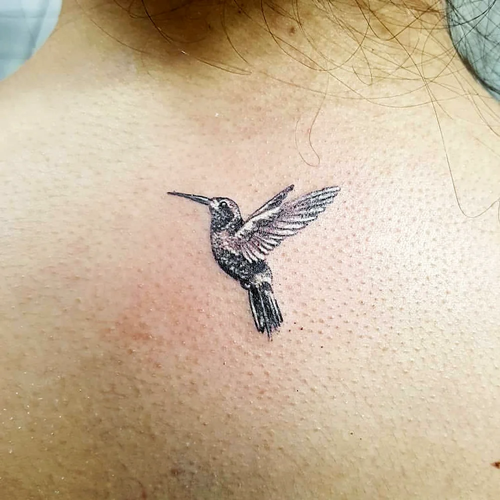 Seagull Bird Tattoo