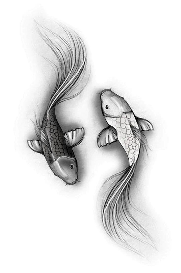 Sketsa tato Ikan Koi
