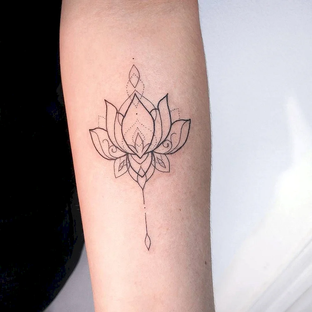 Small Lotus Flower