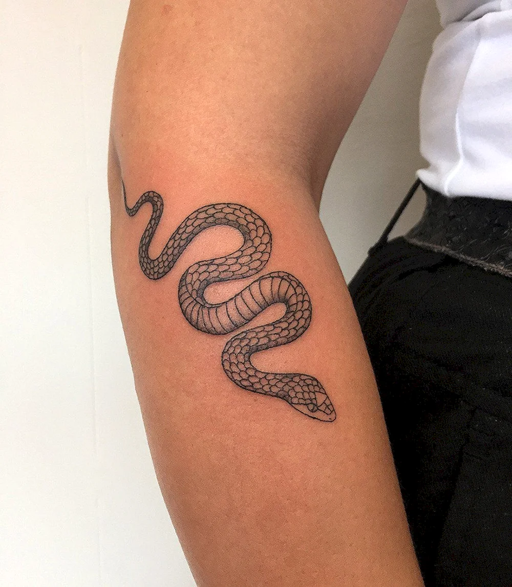 Snake Mini Tattoo