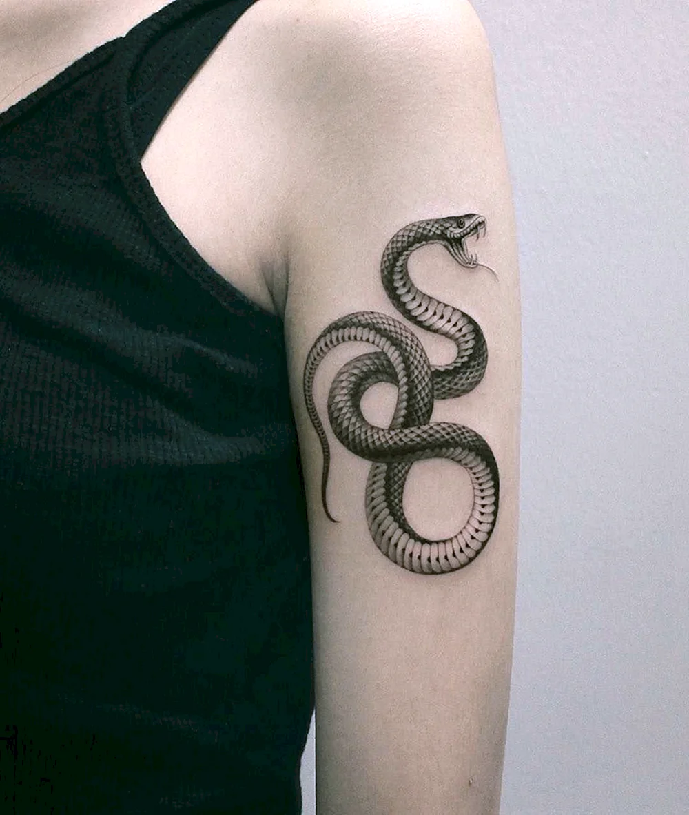 Snake Tattoo