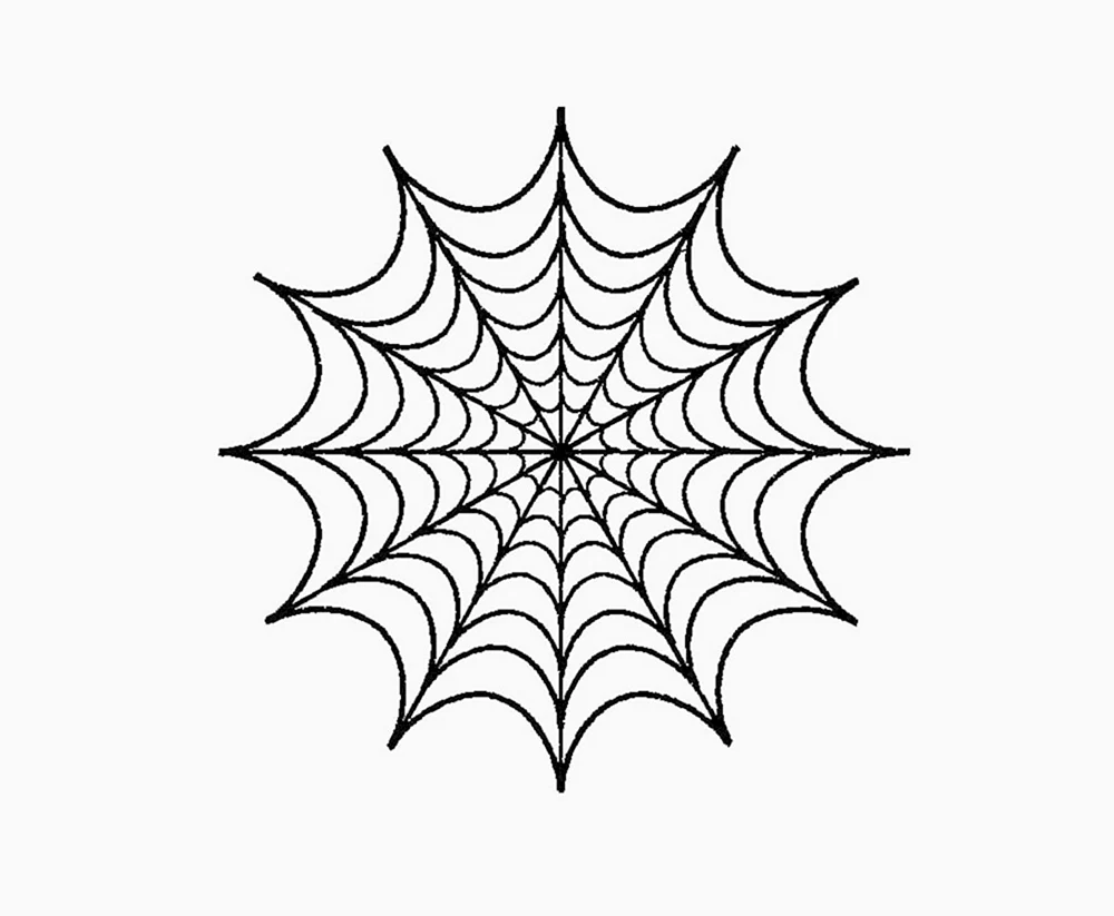 Spider and web Tattoo Design