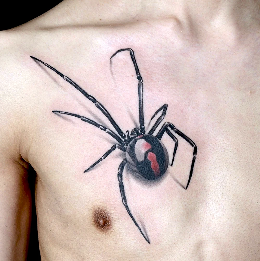 Spider Art　Tattoo
