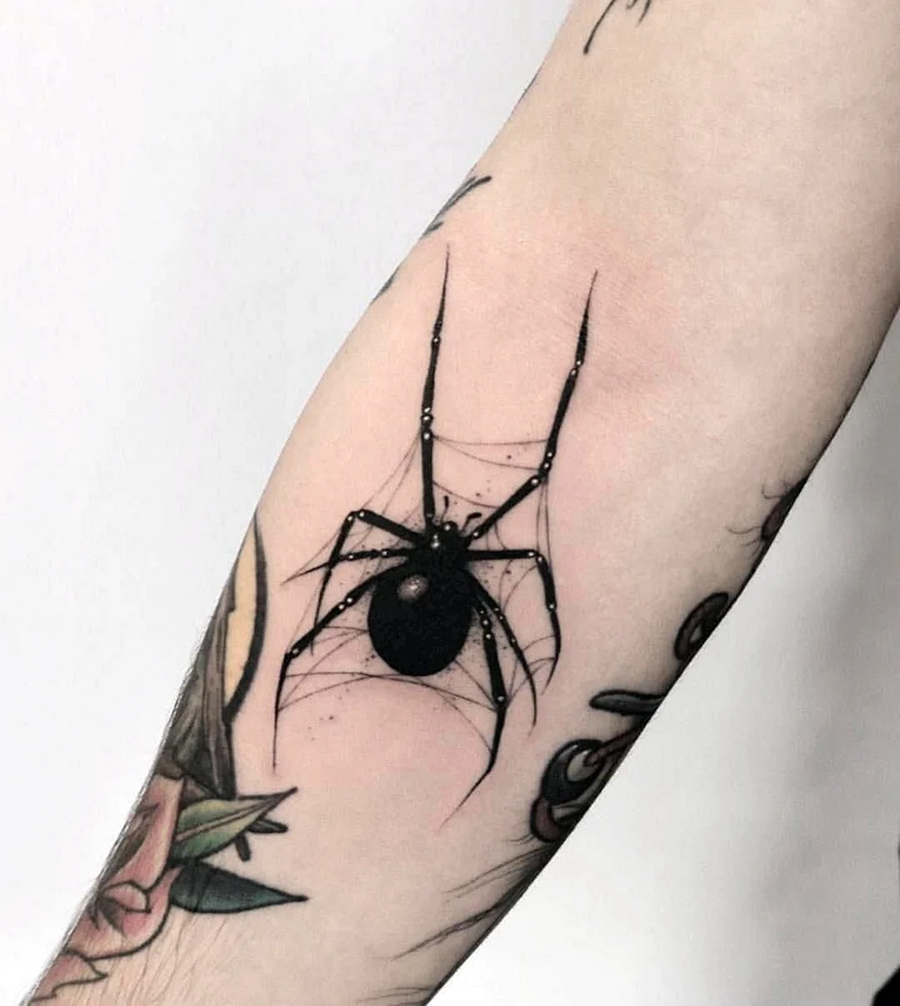 Spider Tattoo Sketch