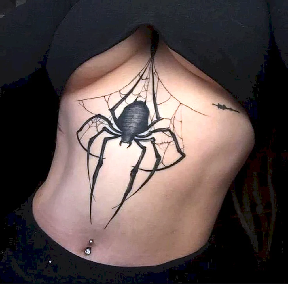 Spider Tattoo Stomach