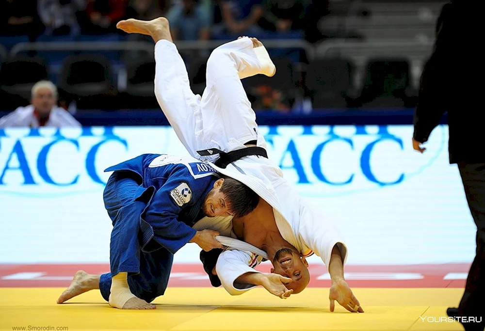 Sport Judo