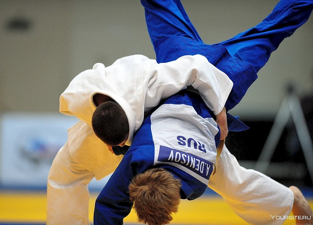 Sports Judo