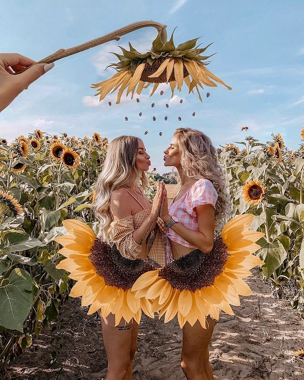 Sunflower Dancing girls