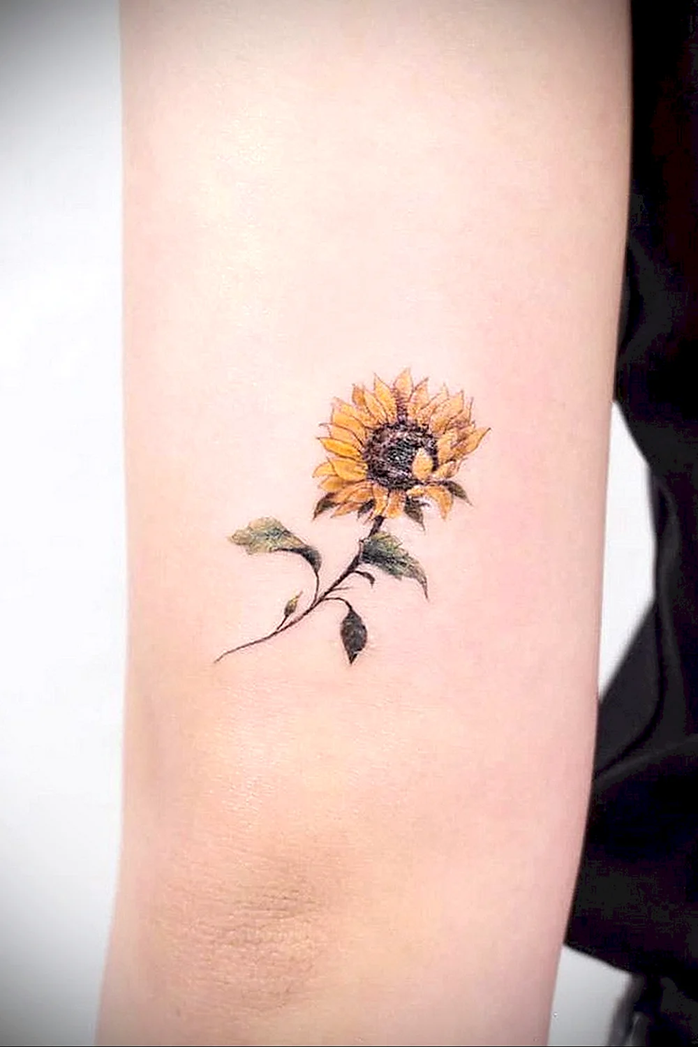 Sunflower Minimalist