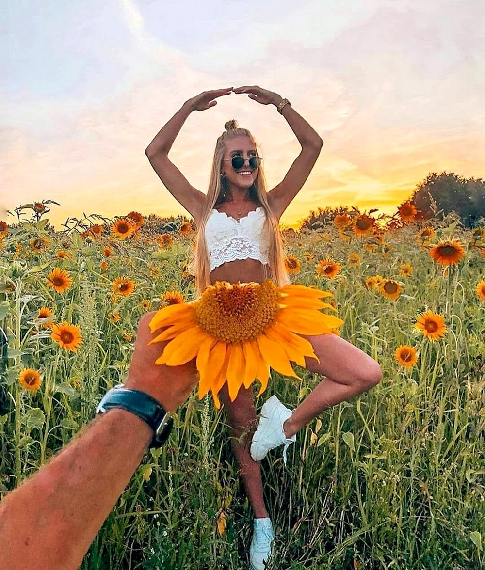 Sunflower posing