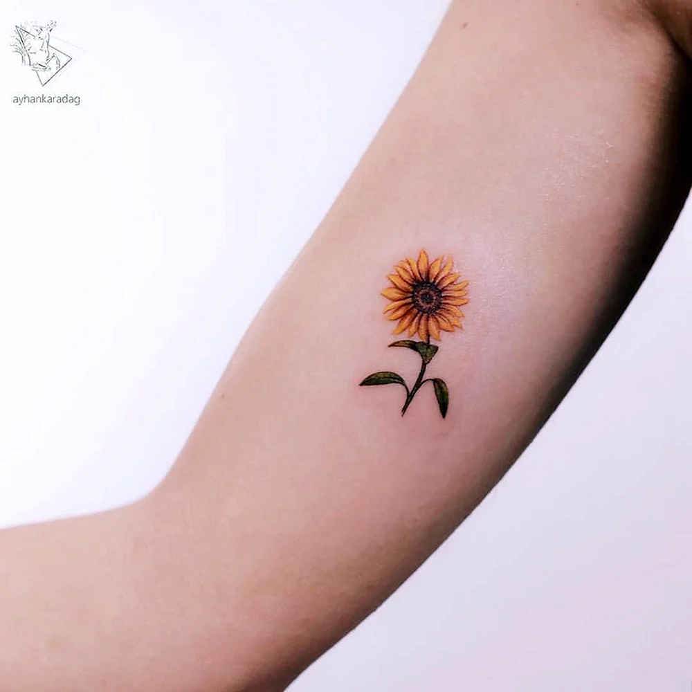 Sunflower Tattoo Minimal