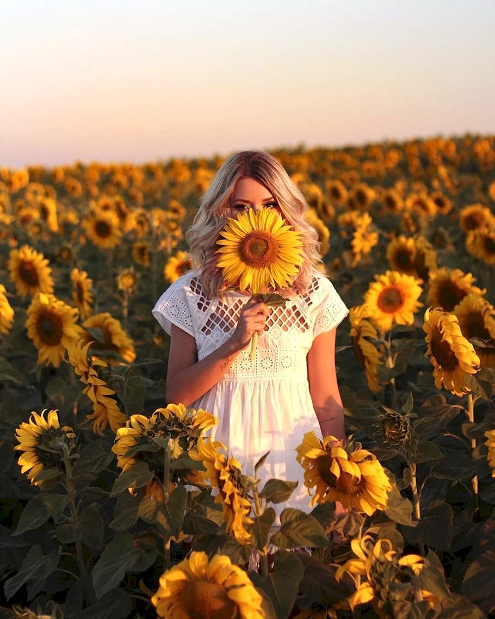 Sunflower with girl
