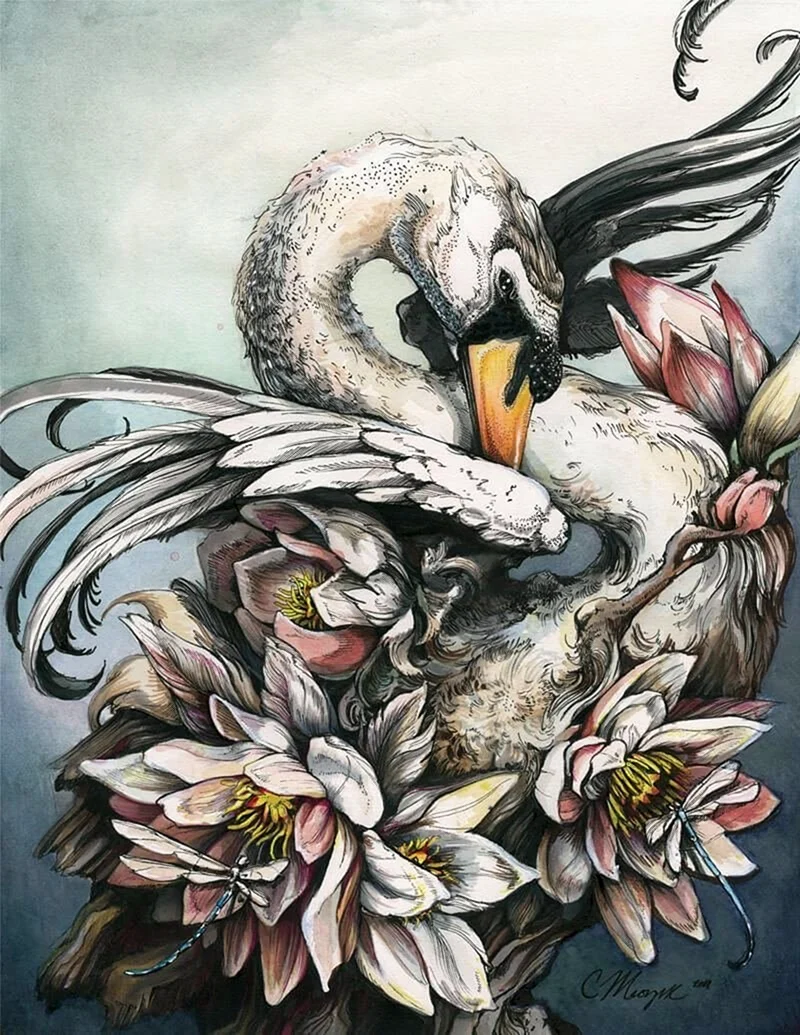 Swan Art