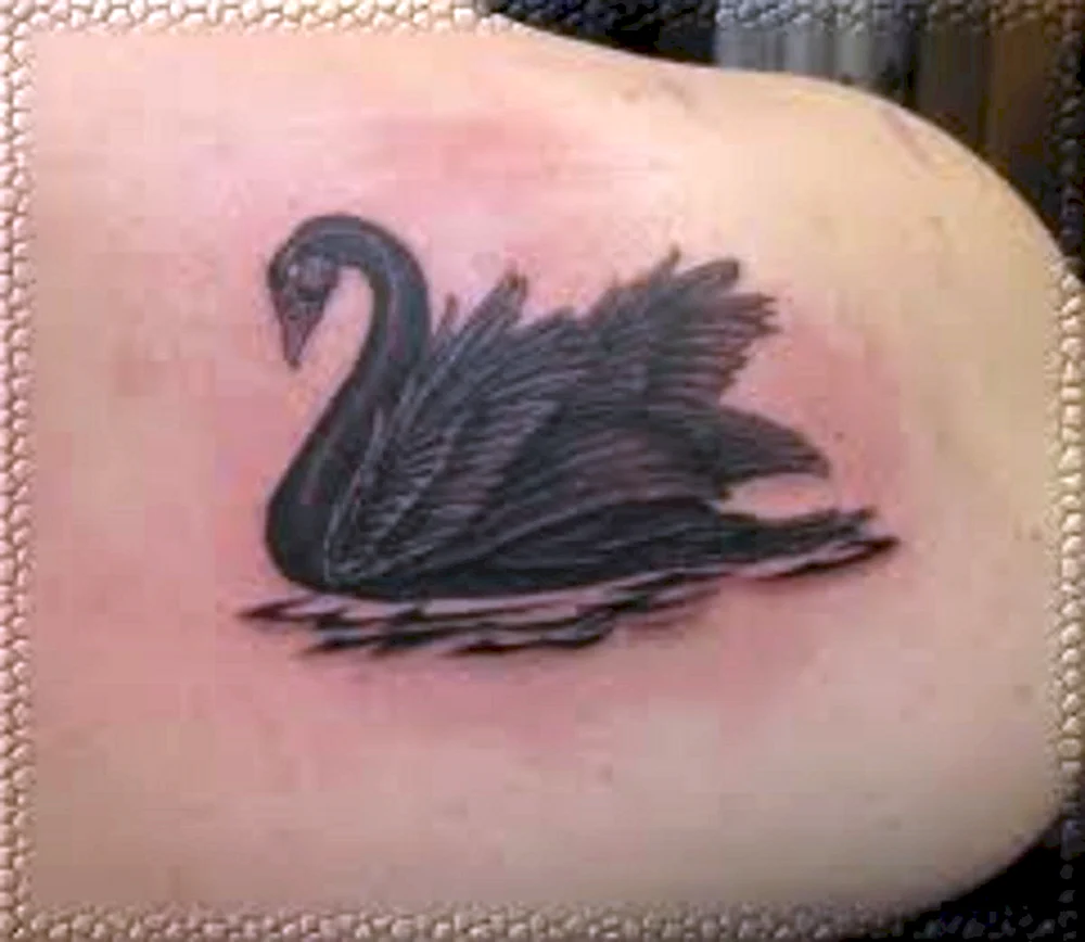Swan Lone Tattoo