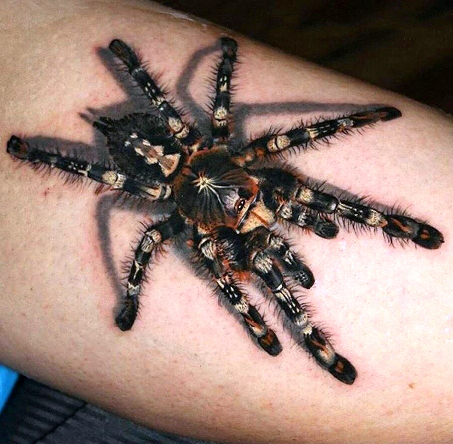 Tarantula Tattoo