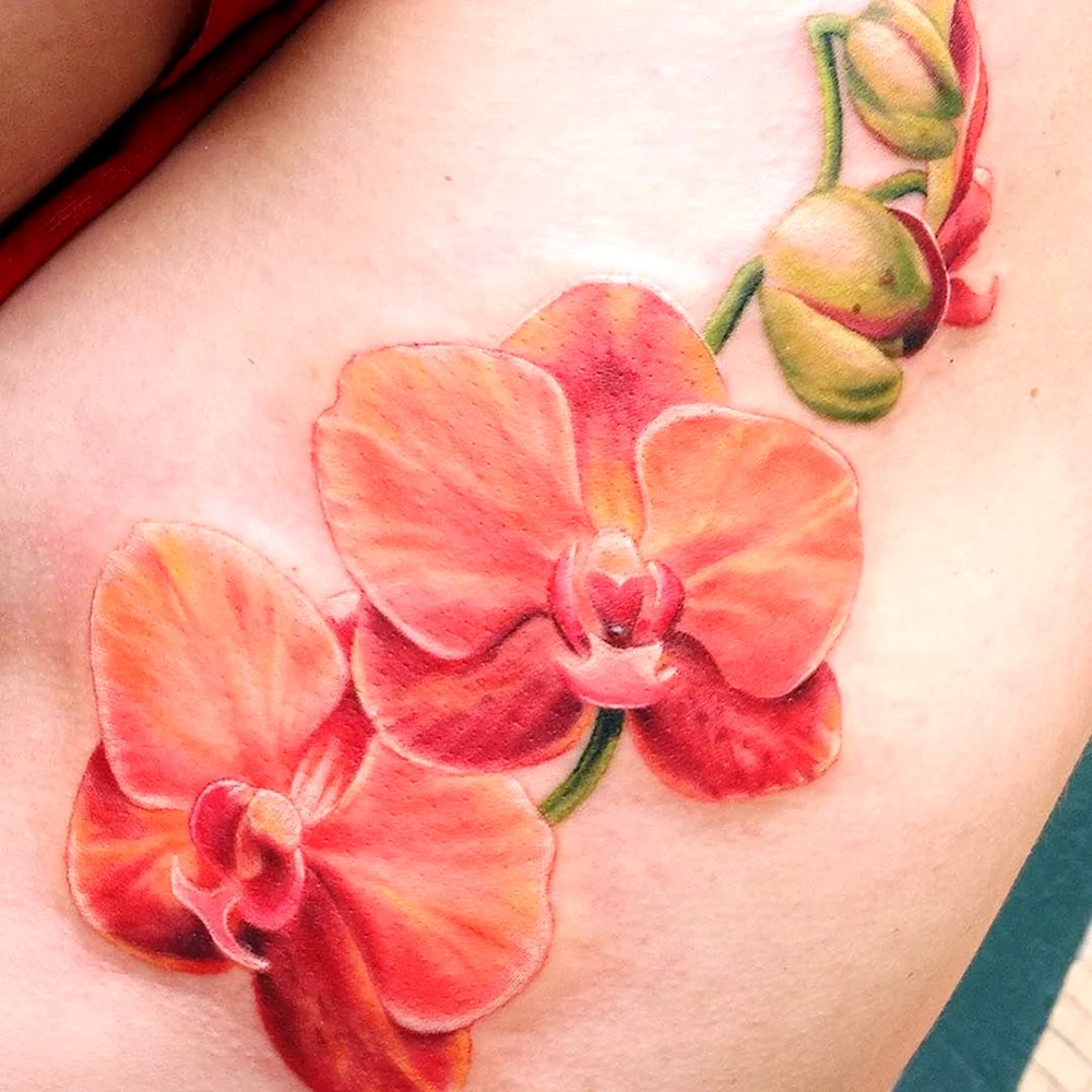 Tatto Orchid
