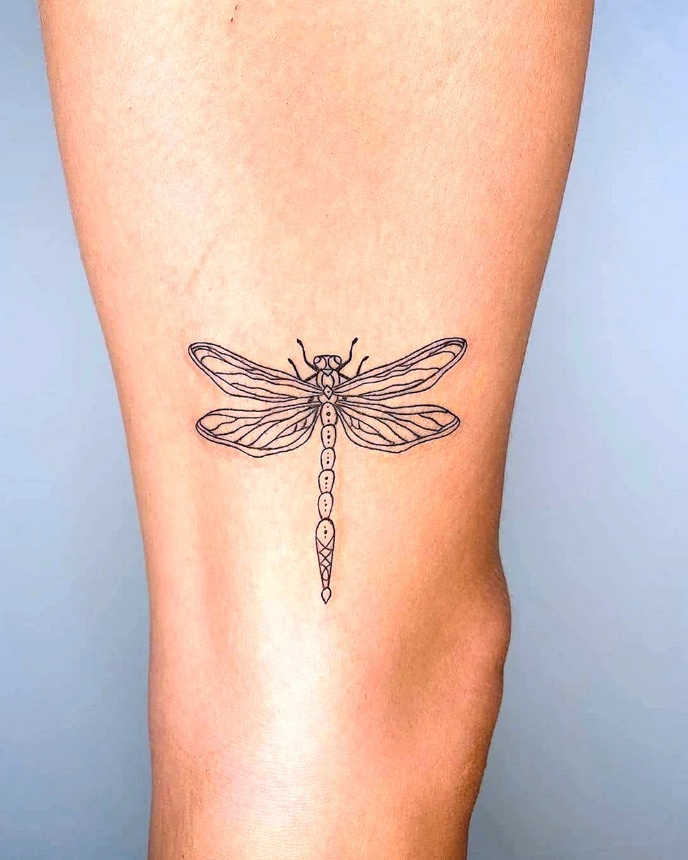 Tattoo 3125 Dragonfly
