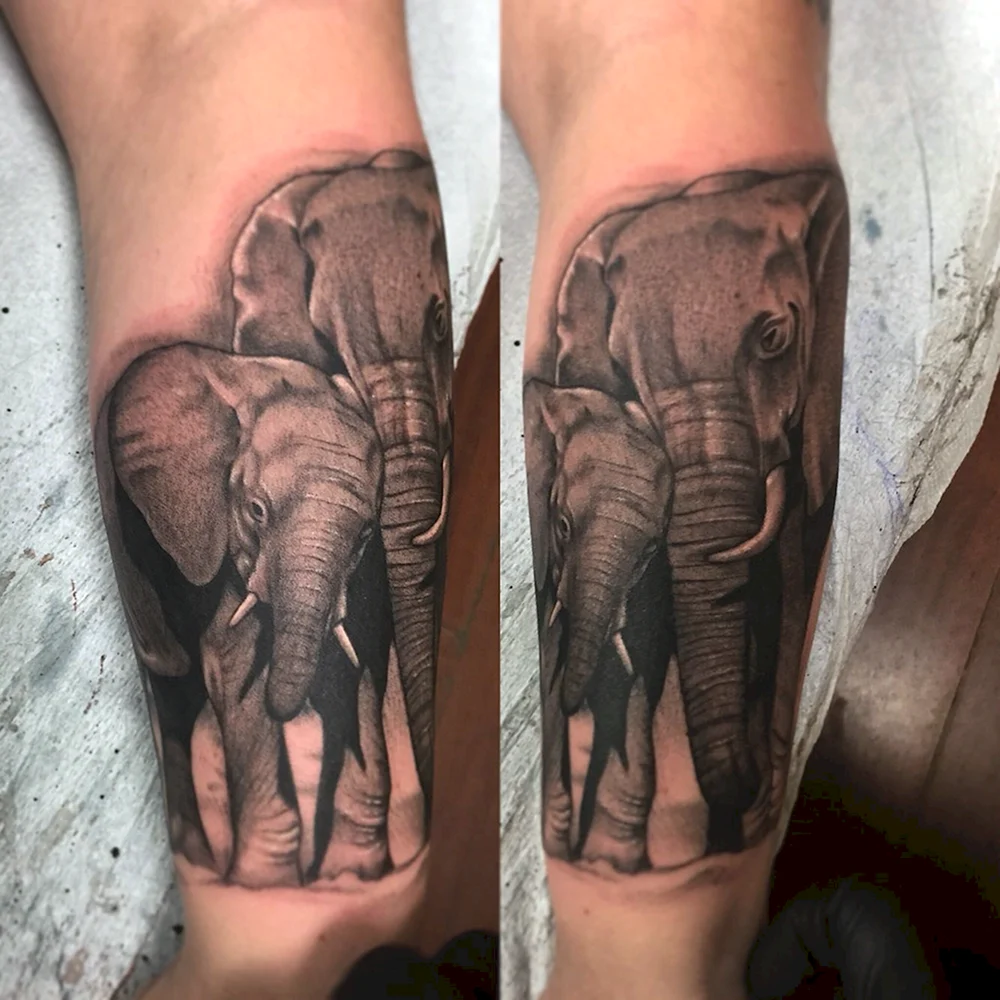 Tattoo Design Gajah