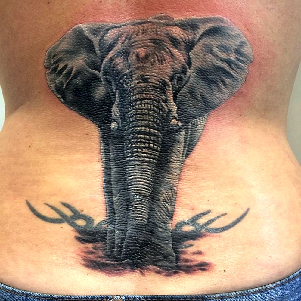 Tattoo Elephant background