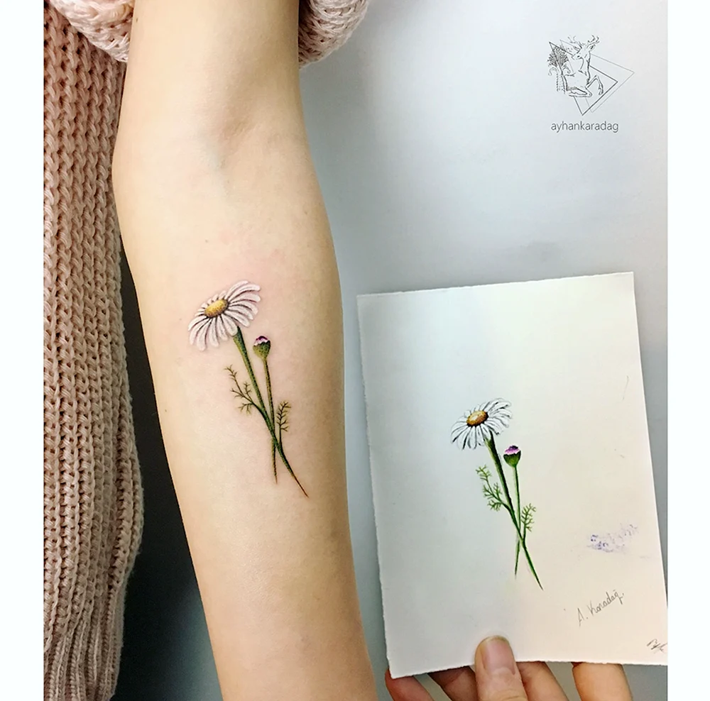 Tattoo Gänseblümchen