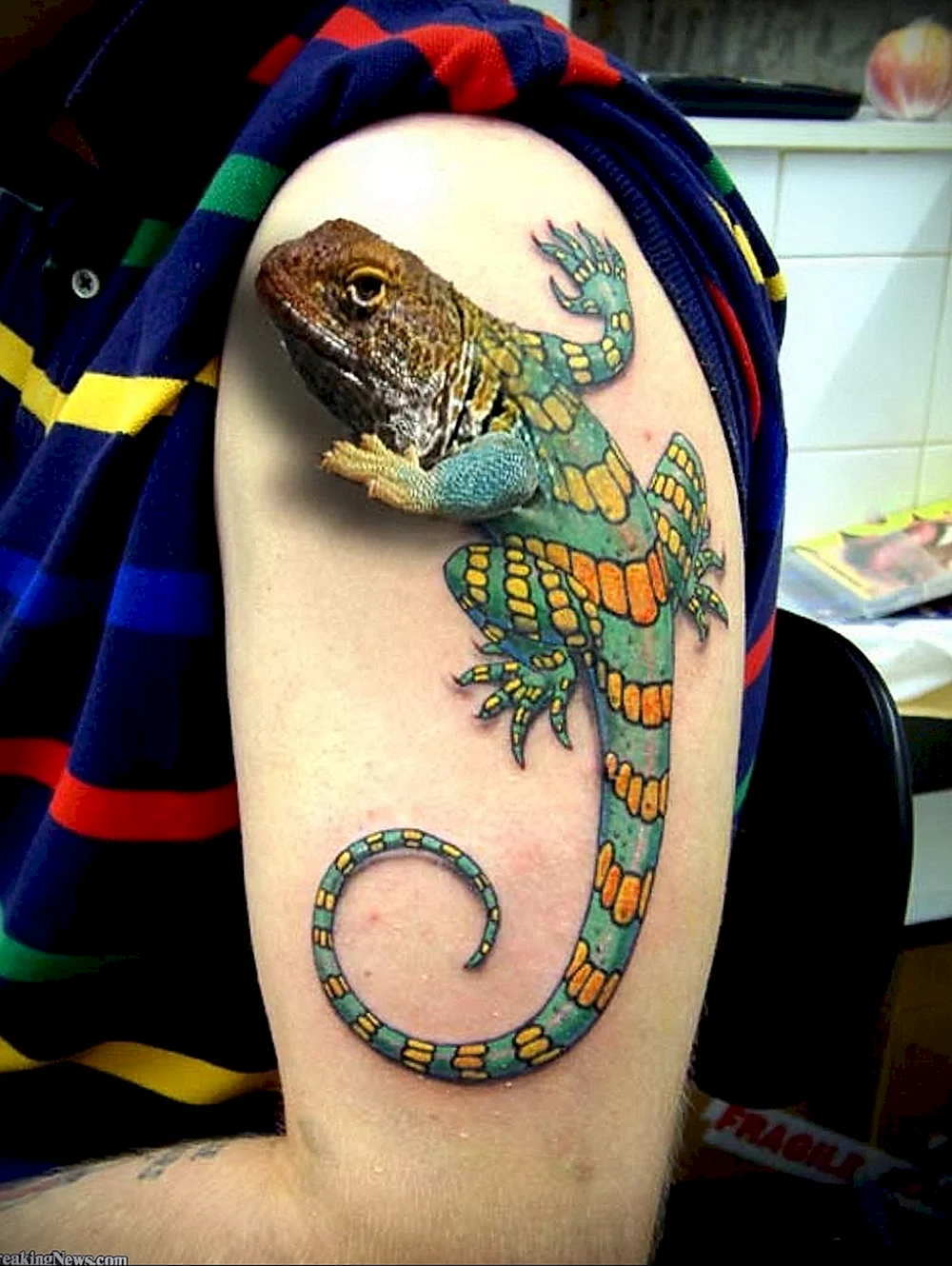 Tattoo Iguana