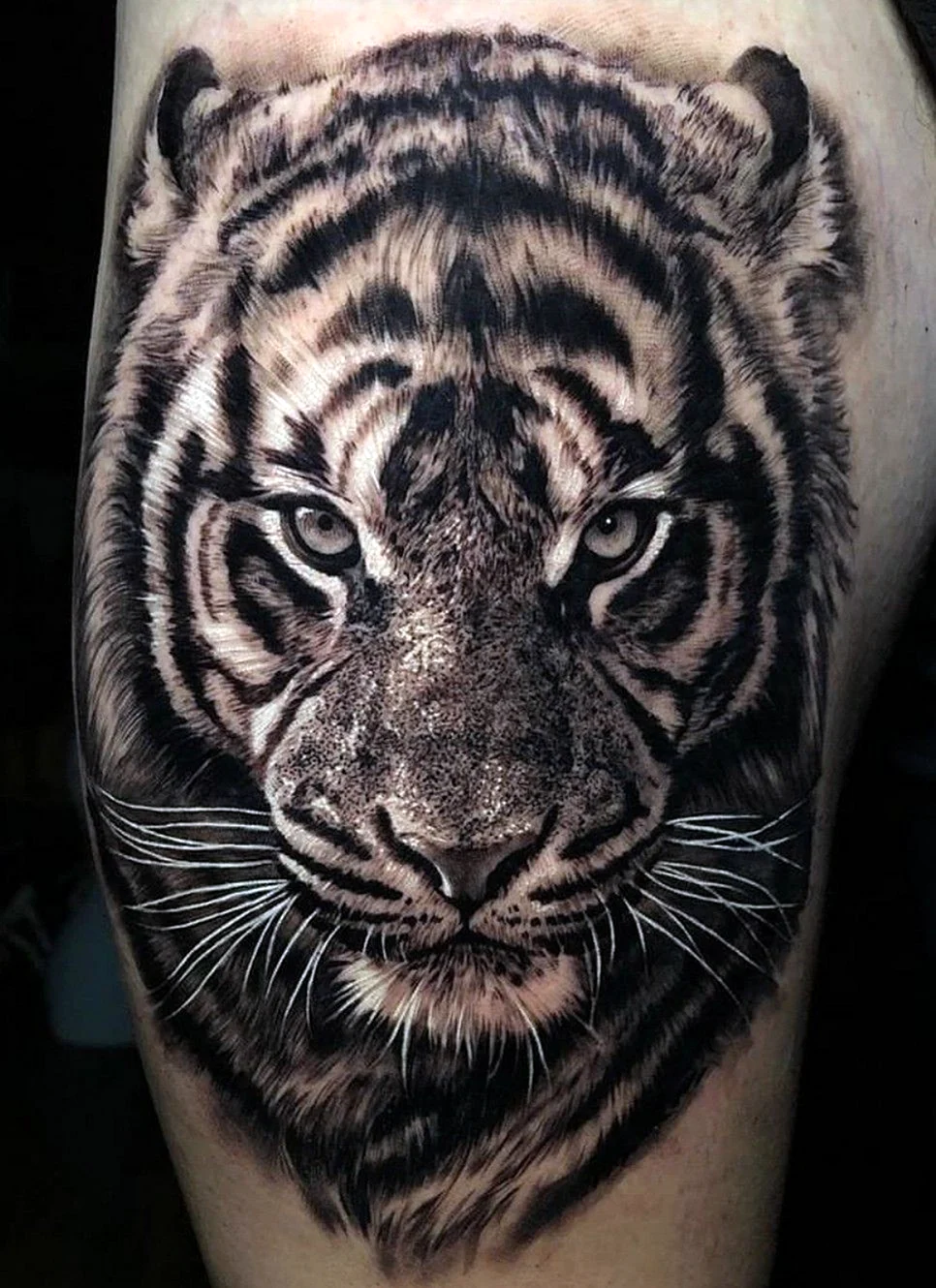 Tattoo Lion Tiger