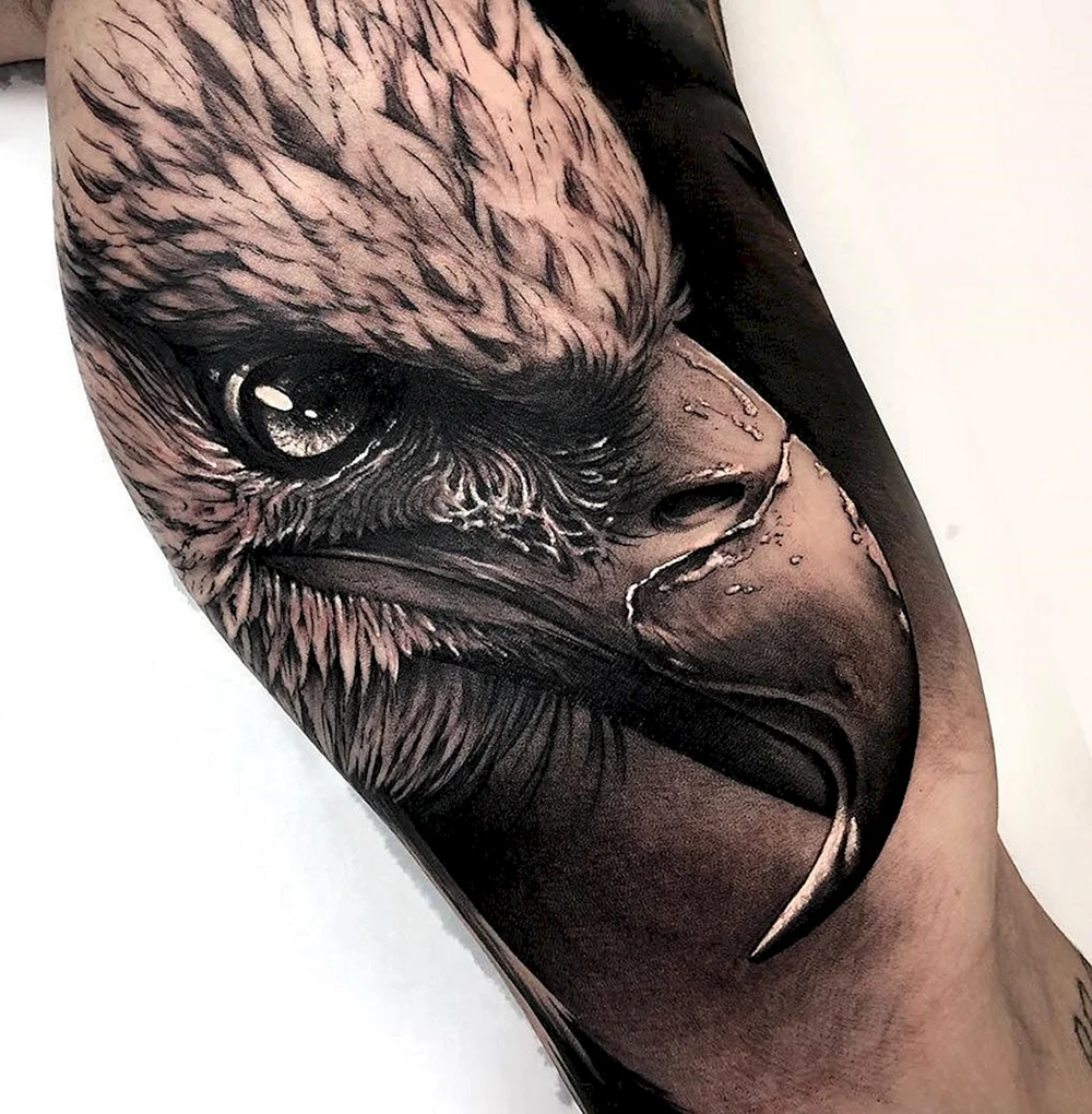 Tattoo Realism Eagle