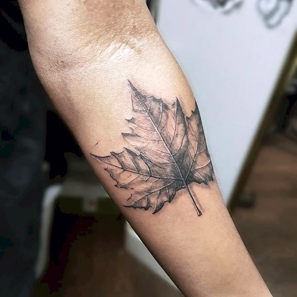 Tattoos Sleeves Canadian Leaf