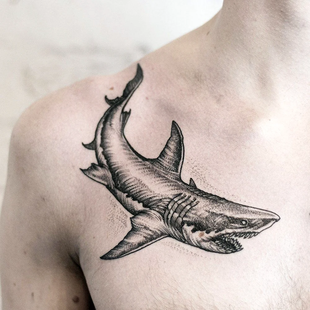 Тату акула мужская
