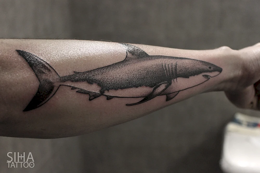 Тату акула на руке