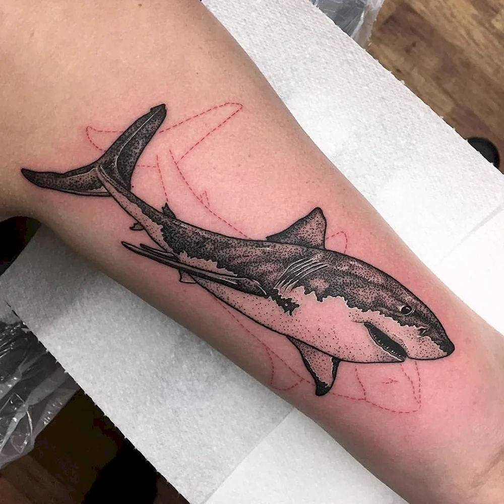 Тату акула на руке