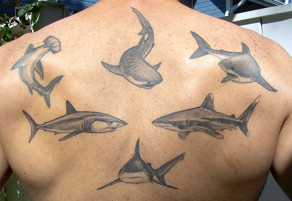 Тату с акулами для мужчин