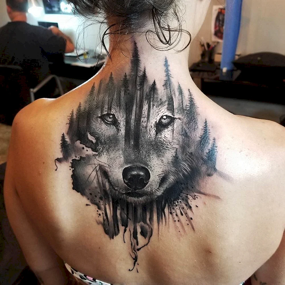 Тату волка на спине