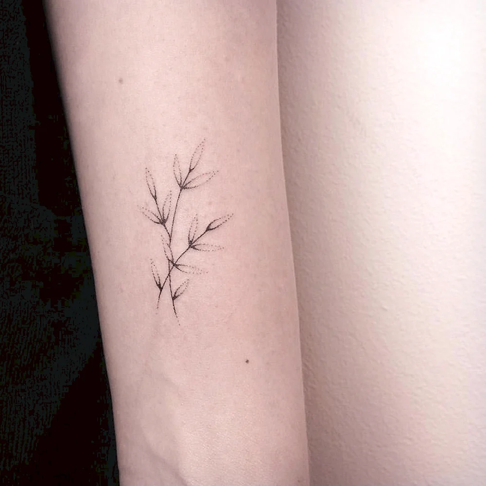 Tatuagem folhas delicadas