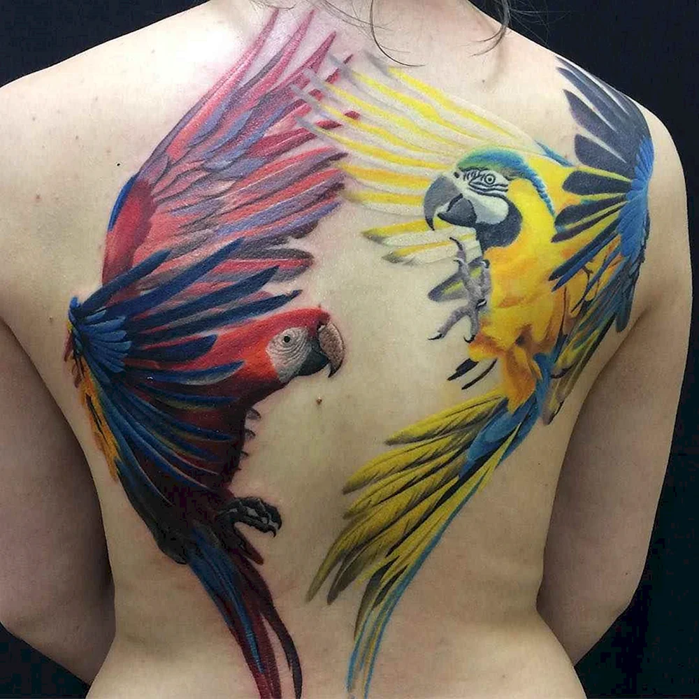 Татуировка попугай