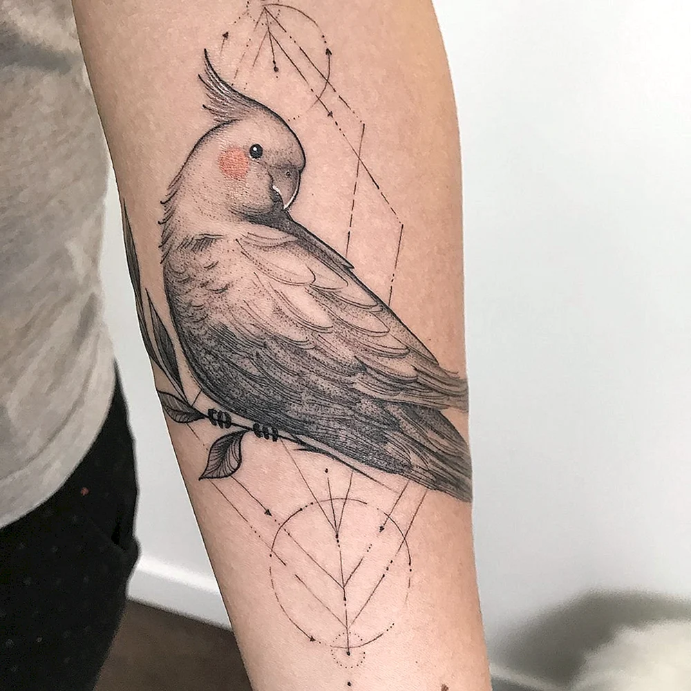 Татуировка попугай корелла