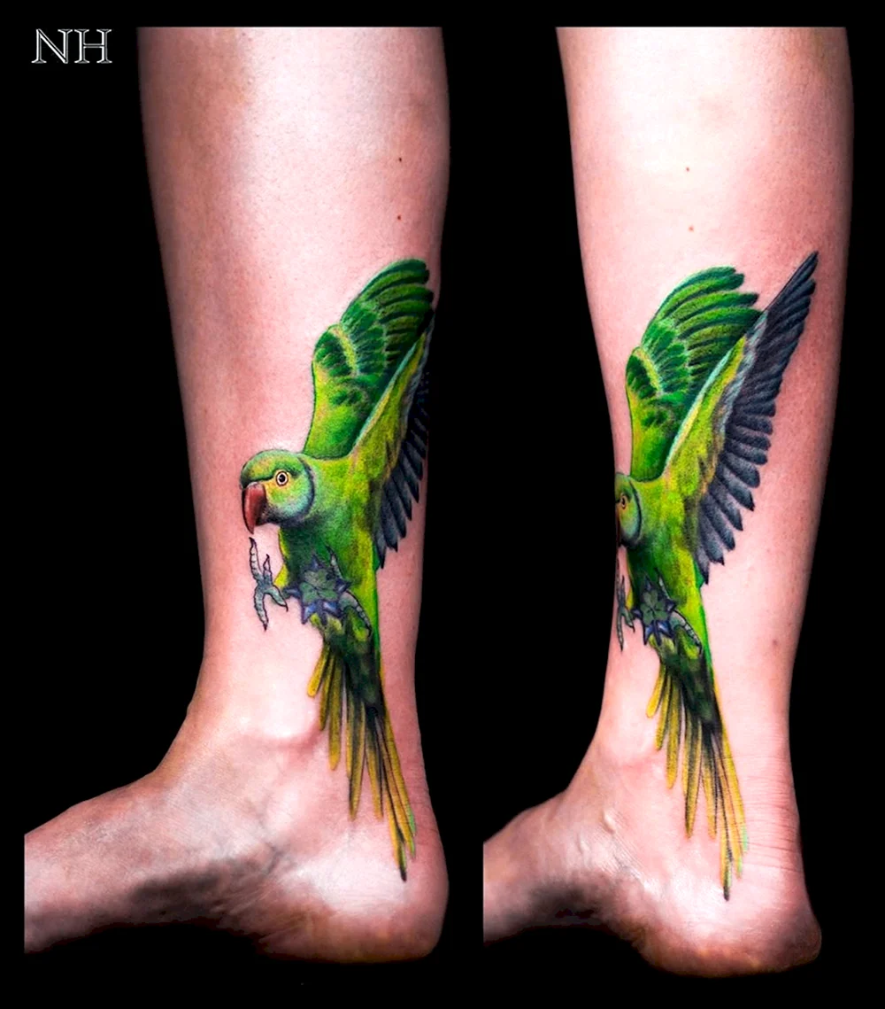 Татуировки попугаев неразлучников
