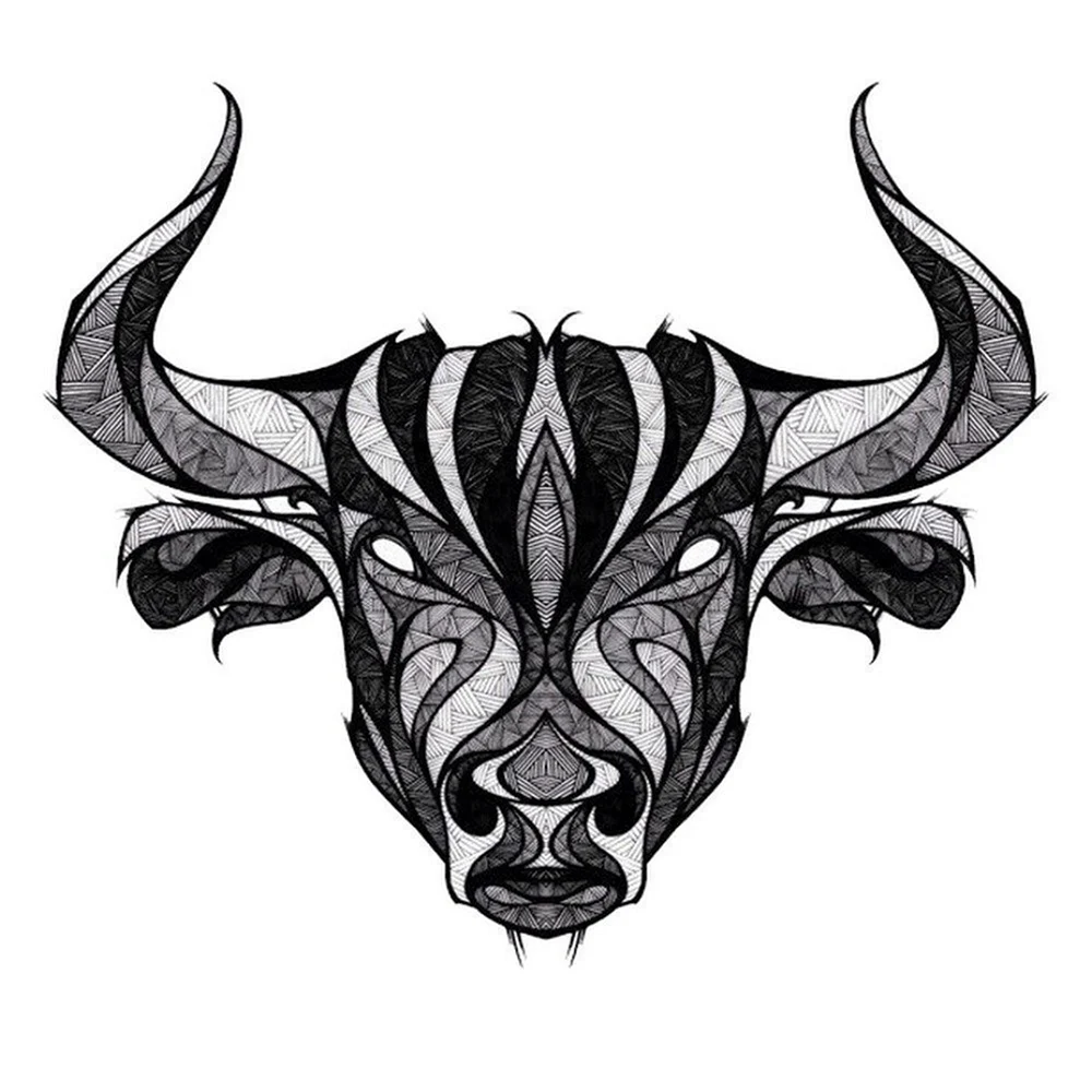 Taurus Toro