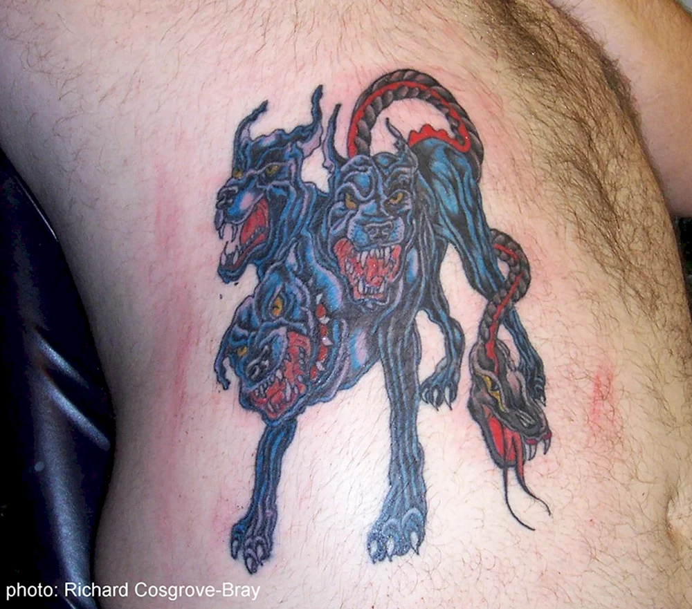 Three headed Dog Tattoo