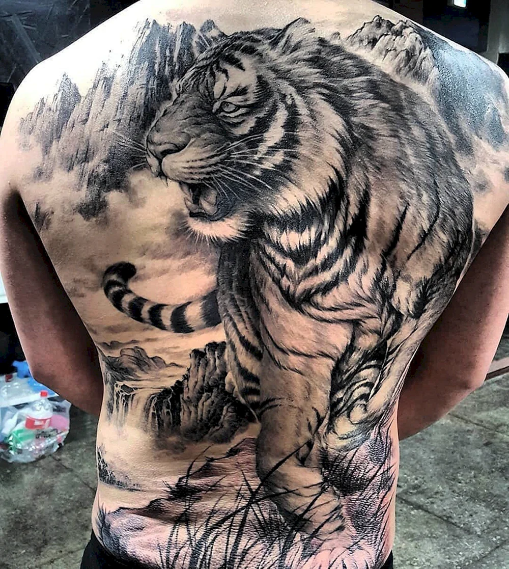 Tiger back Tattoos