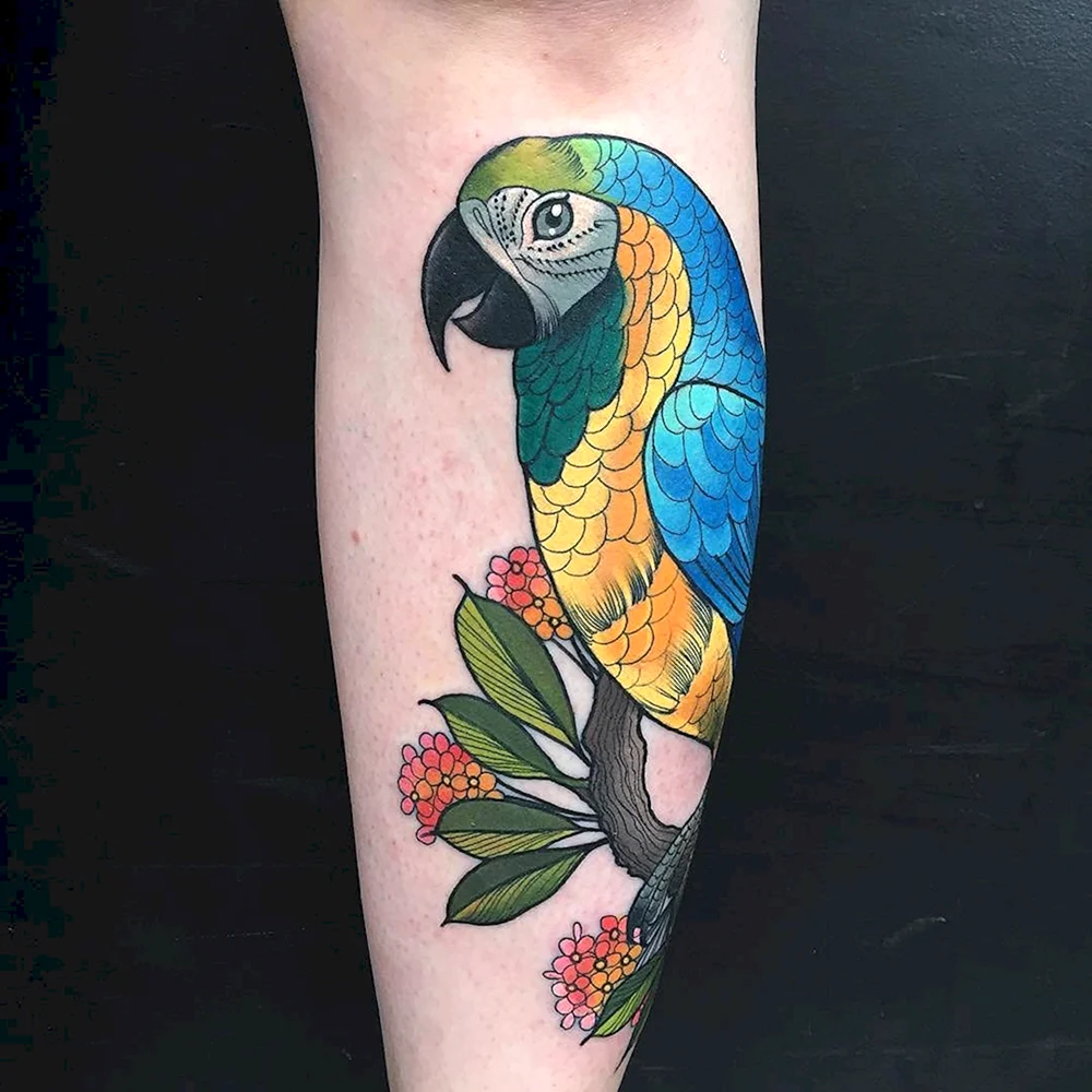 Traditional Tattoo попугай