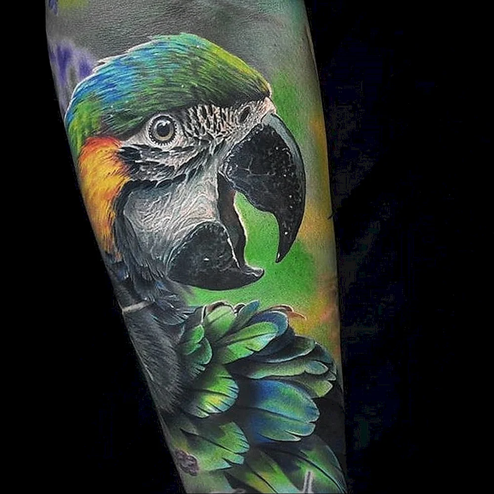 Цветной попугай тату