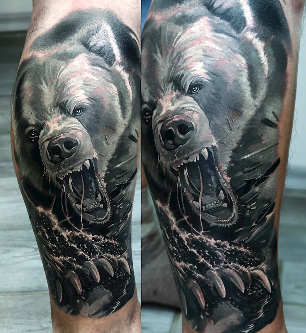 Urso Tatuagem