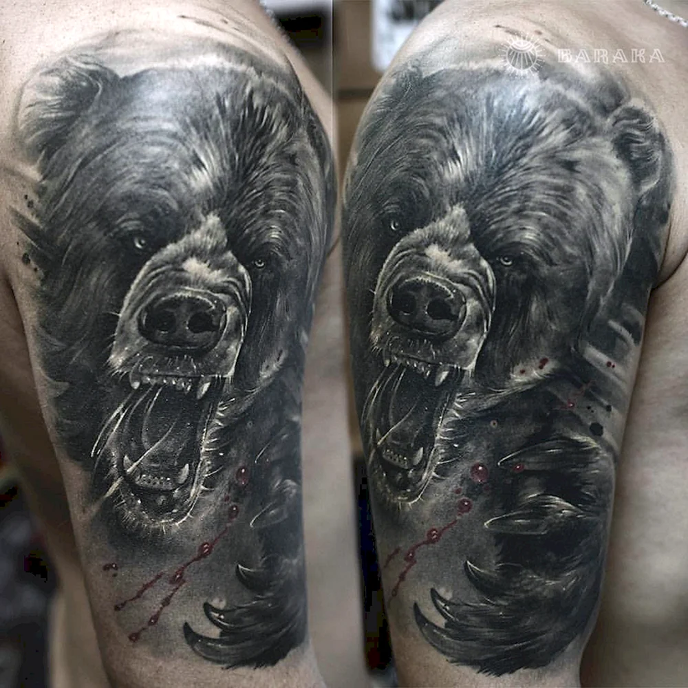 Ursos Tattoo