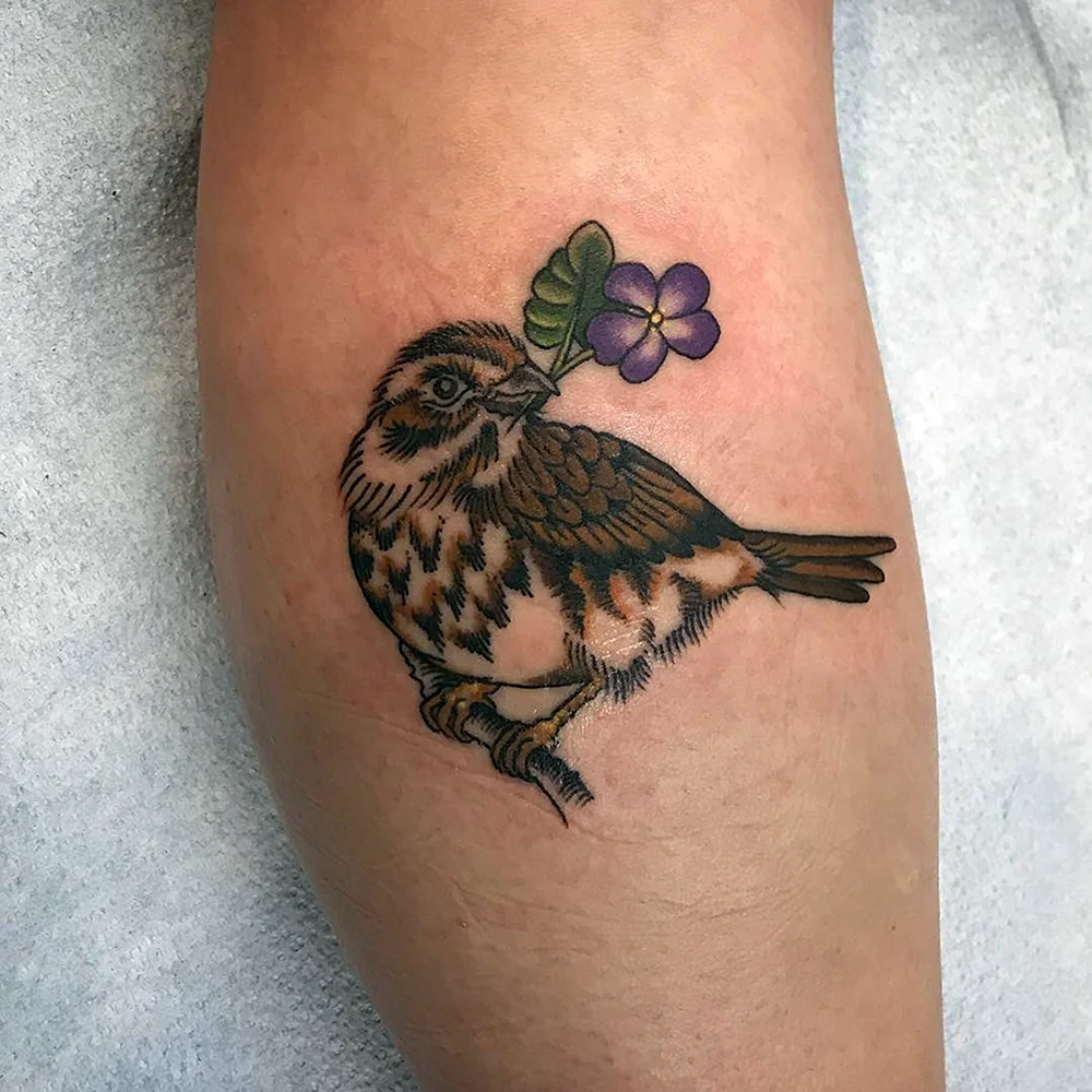 VintonOhio brunette Tattoo Sparrow shoulderblade