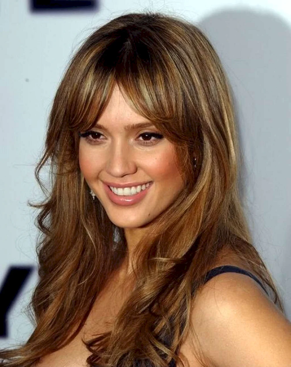 Wavy long Brown Wigs Highlights