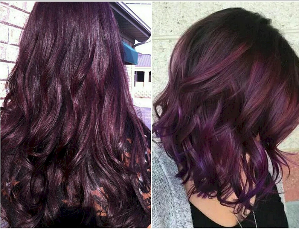 Wine Purple hair Color