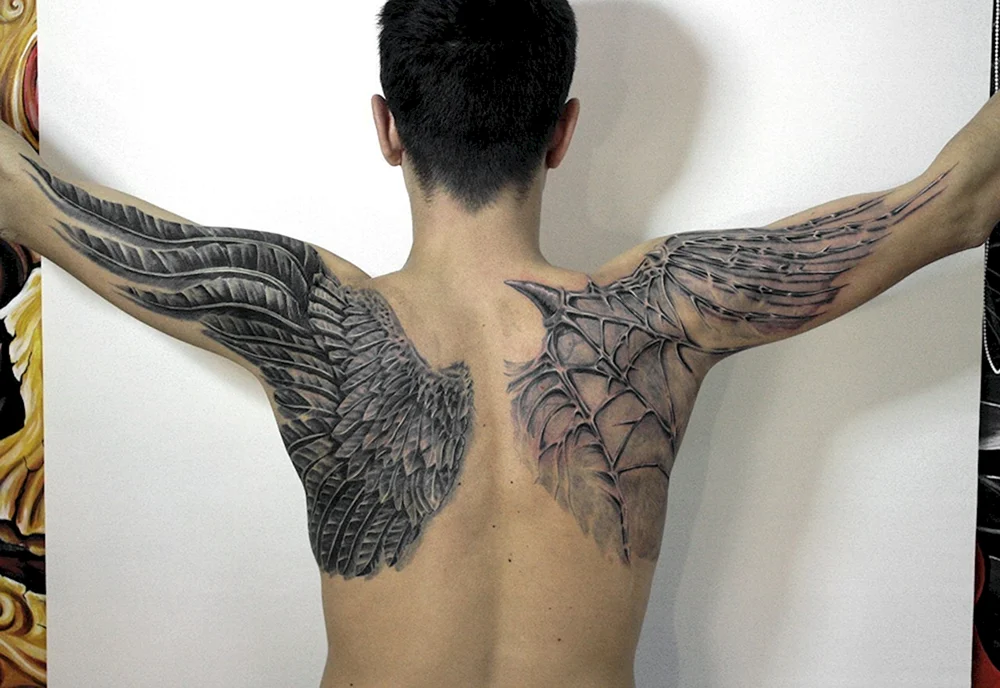 Wings from back