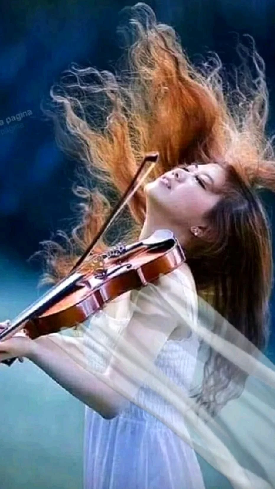 Woman Violin